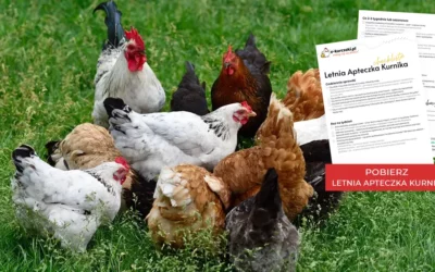 CHECK LISTA Letnia Apteczka Kurnika