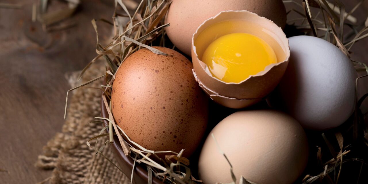 Ocena jakości jaj: Jakie czynniki wpływają na ich wartość rynkową?