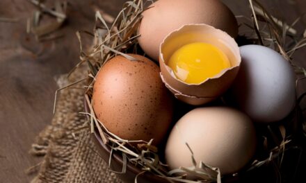 Ocena jakości jaj: Jakie czynniki wpływają na ich wartość rynkową?