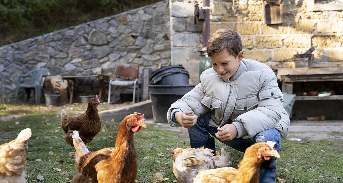 Podstawy żywienia drobiu: Kluczowe składniki odżywcze i ich rola w hodowli