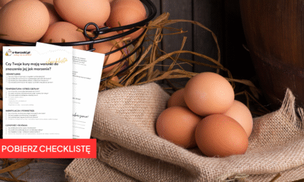 Nieśność w rękach hodowcy