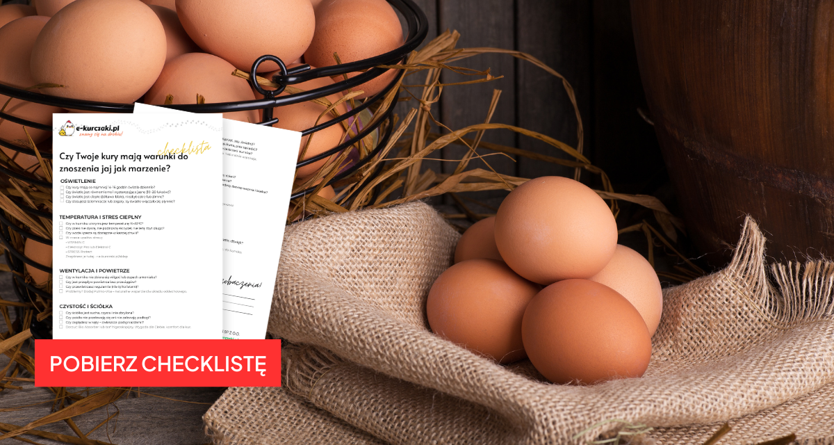 Nieśność w rękach hodowcy