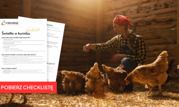 Światło w kurniku – dlaczego to taki ważny temat?