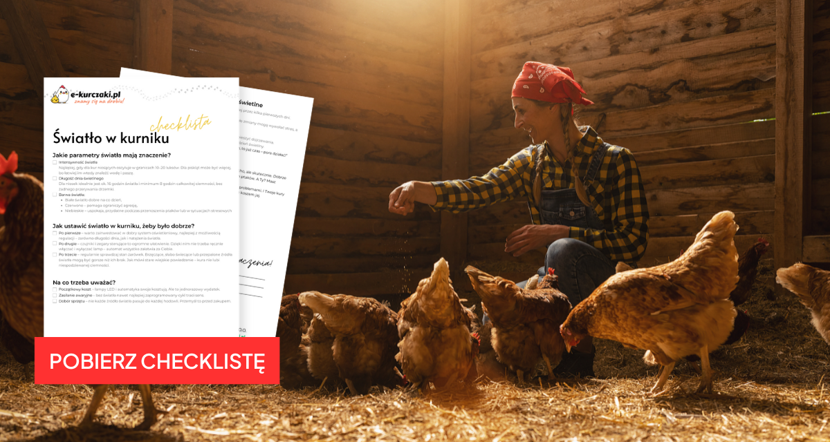 Światło w kurniku – dlaczego to taki ważny temat?