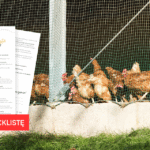 Checklista dobrego hodowcy kur