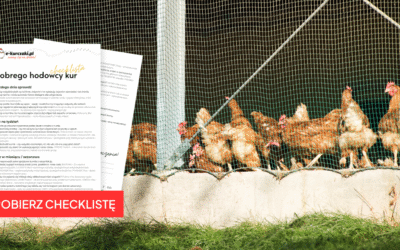 Checklista dobrego hodowcy kur