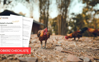 Jesień w kurniku – checklista