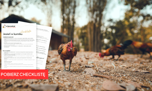 Jesień w kurniku – checklista