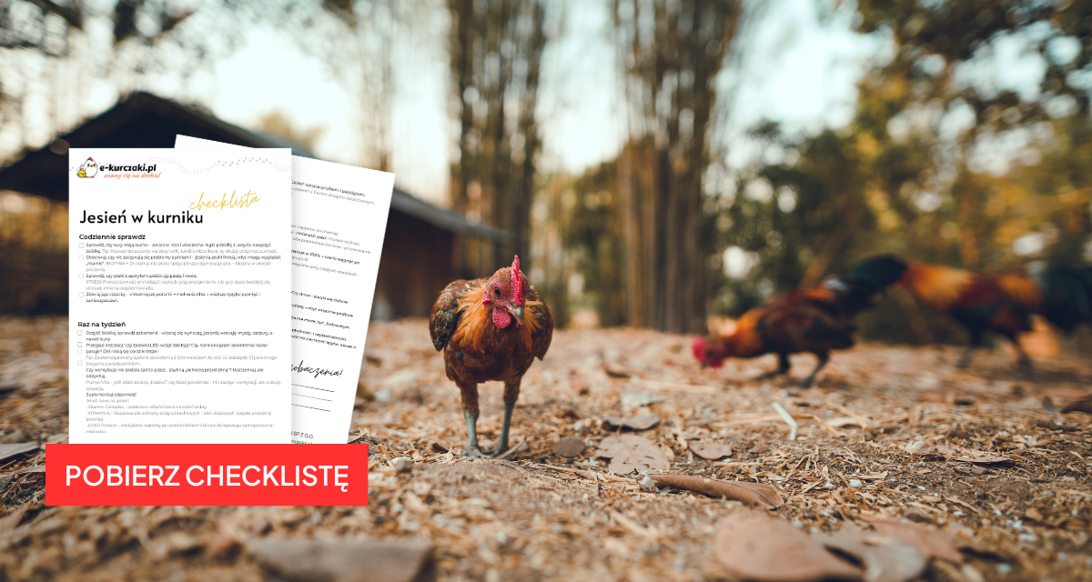Jesień w kurniku – checklista