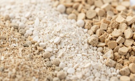 Optymalizacja żywienia zwierząt: Kluczowe dodatki sypkie do paszy